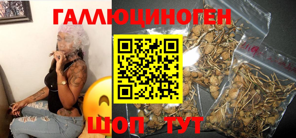 Кольчугино  Галлюциногенные грибы Magic Shrooms  Вход с VPN  Псилоцибиновые грибы MAGIC MUSHROOMS 